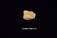 陶罐藏品圖，第2張